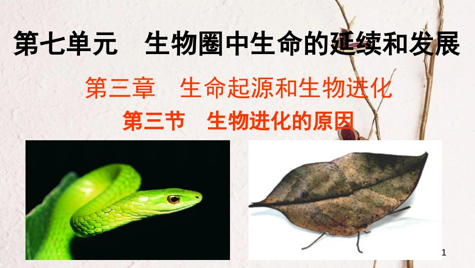 八年级生物下册 7.3.3 生物进化的原因教学课件 （新版）新人教版(1)_第1页