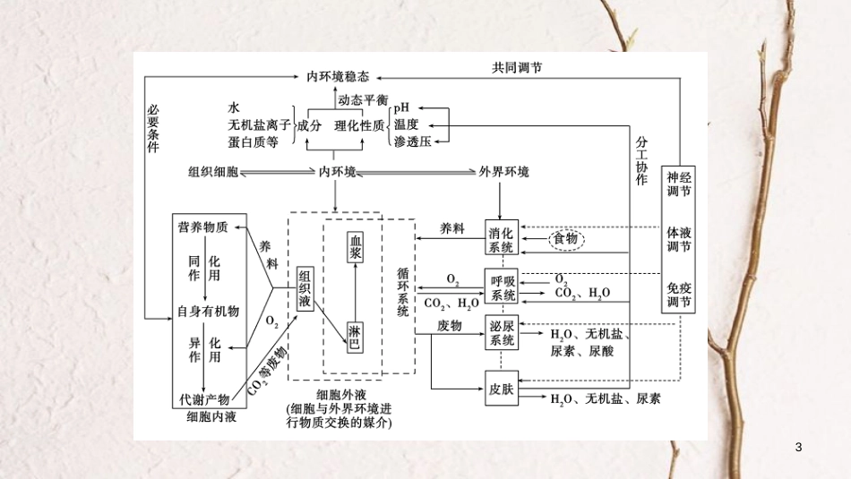 高中生物 第1章 人体的内环境与稳态章末归纳整合课件 新人教版必修3_第3页