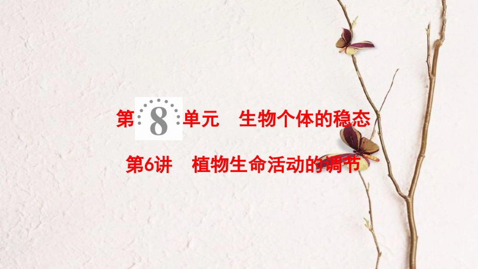 2019版高考生物一轮复习 第8单元 生物个体的稳态 第6讲 植物生命活动的调节课件 苏教版_第1页