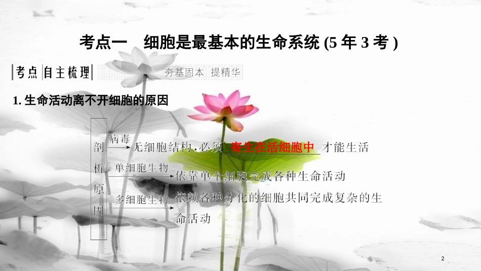 届高考生物一轮复习 第一单元 组成细胞的分子 第1讲 借助显微镜走近细胞课件_第2页