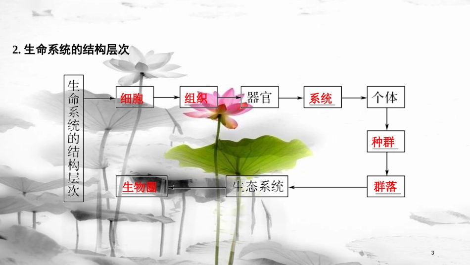 届高考生物一轮复习 第一单元 组成细胞的分子 第1讲 借助显微镜走近细胞课件_第3页