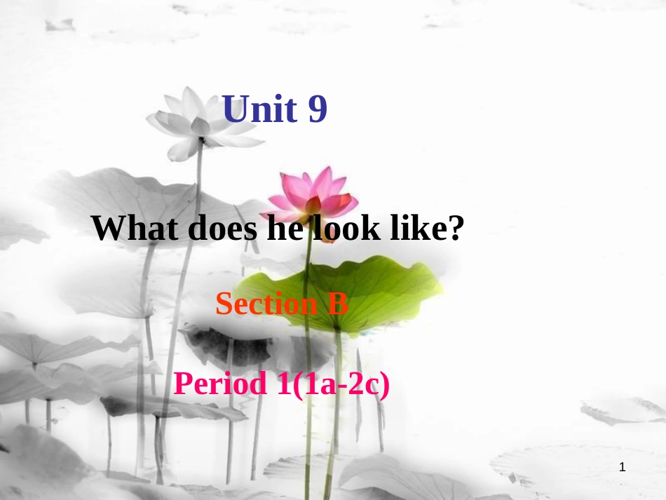 七年级英语下册 Unit 9 What does he look like Section B Period 1（1a-2c）课件 （新版）人教新目标版_第1页