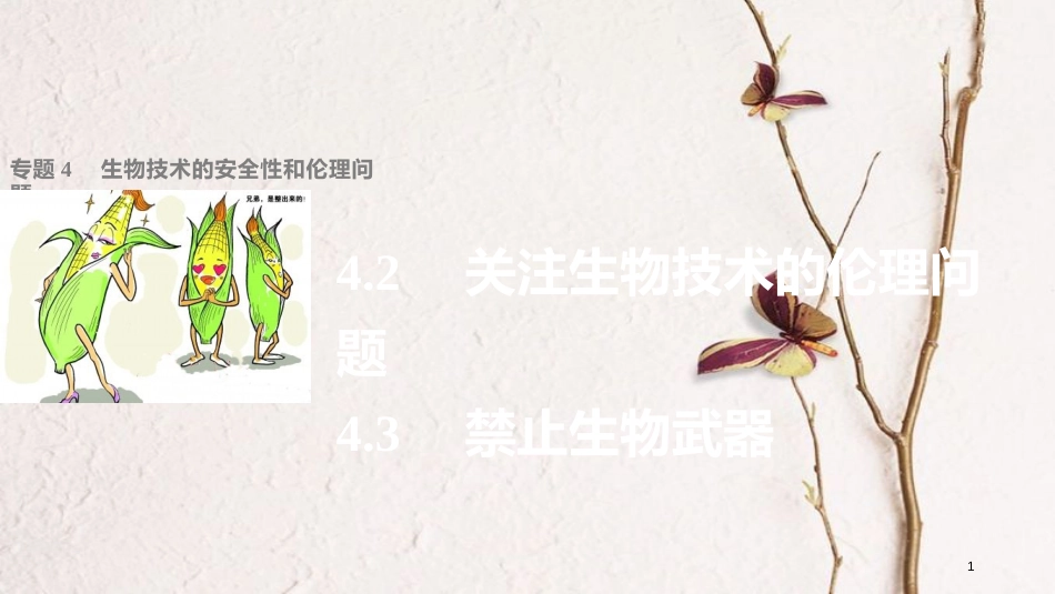 高中生物 专题4 生物技术的安全性和伦理问题 4.2- 关注生物技术的伦理问题 4.3 禁止生物武器课件 新人教版选修3_第1页