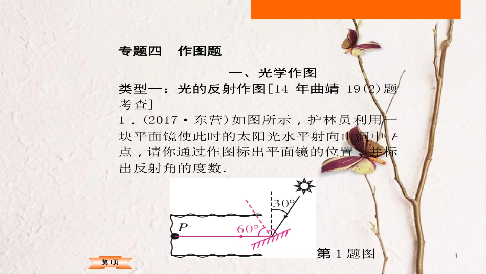 （云南专版）中考物理总复习 专题突破4 作图题课件_第1页