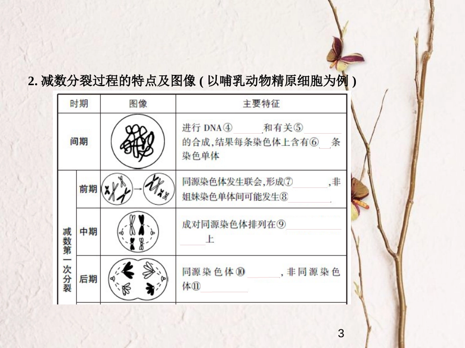 （新课标）2019版高考生物一轮复习 专题9 减数分裂和受精作用课件_第3页