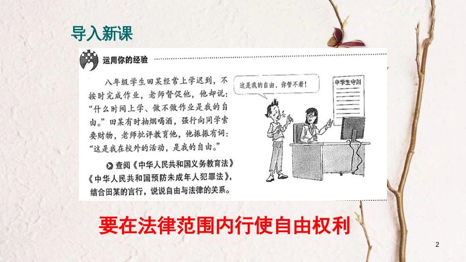 八年级道德与法治下册 第四单元 崇尚法治精神 第七课 尊重自由平等 第2框《自由平等的追求》课件 新人教版_第2页