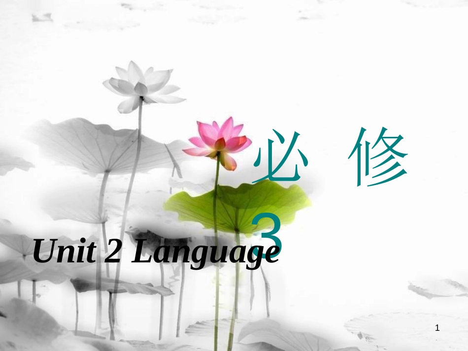 高考英语一轮复习 Unit 2 Language课件 牛津译林版必修3_第1页