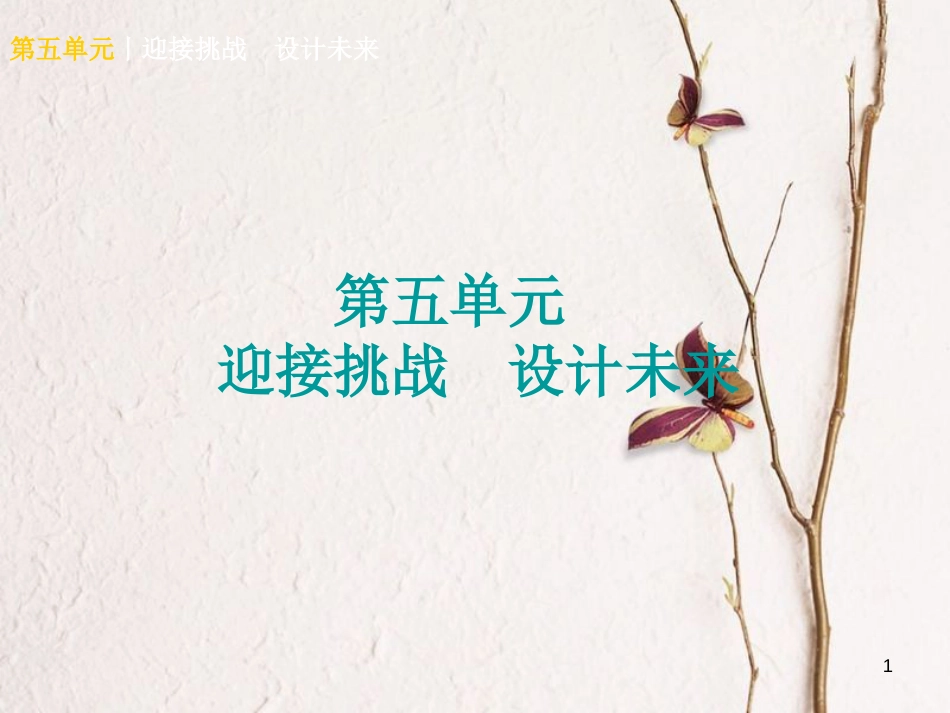 （广西北部湾专版）中考政治 九年级全一册 第五单元 迎接挑战 设计未来知识梳理课件_第1页