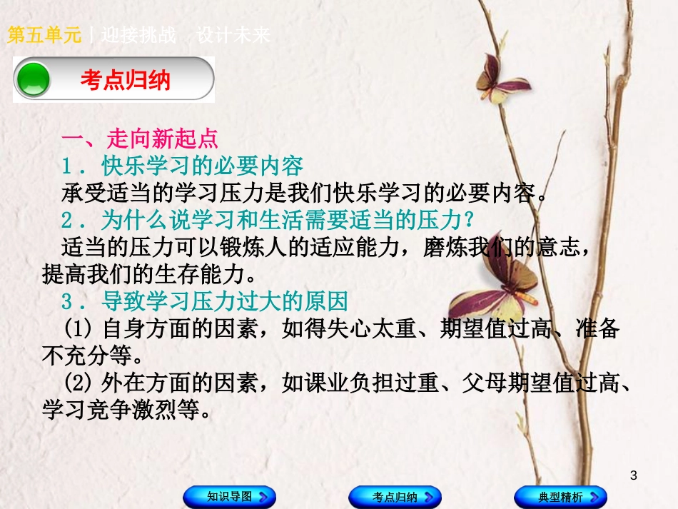 （广西北部湾专版）中考政治 九年级全一册 第五单元 迎接挑战 设计未来知识梳理课件_第3页