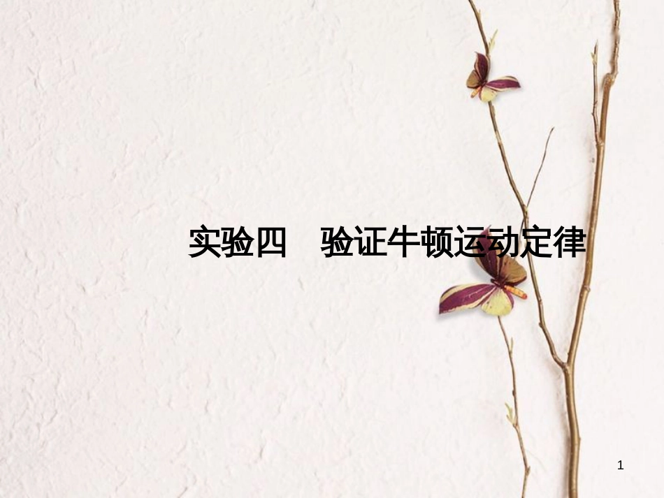 2019版高考物理总复习 第三章 牛顿运动定律 实验四 验证牛顿运动定律课件(1)_第1页