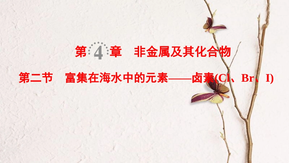 （全国通用）2019版高考化学一轮复习 第4章 非金属及其化合物 第2节 富集在海水中的元素——卤素（Cl、Br、I）课件_第1页