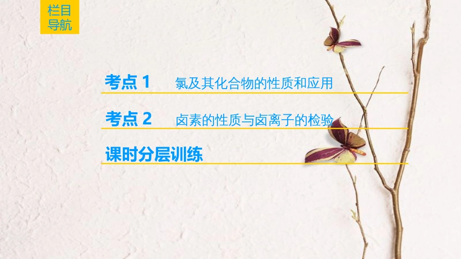（全国通用）2019版高考化学一轮复习 第4章 非金属及其化合物 第2节 富集在海水中的元素——卤素（Cl、Br、I）课件_第2页