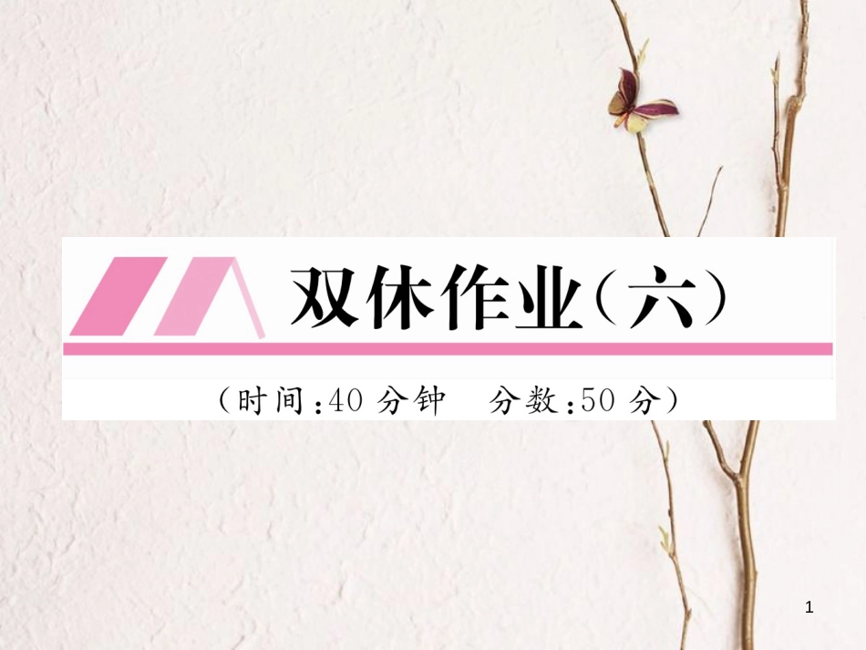 九年级化学下册 双休作业（六）作业课件 （新版）新人教版_第1页