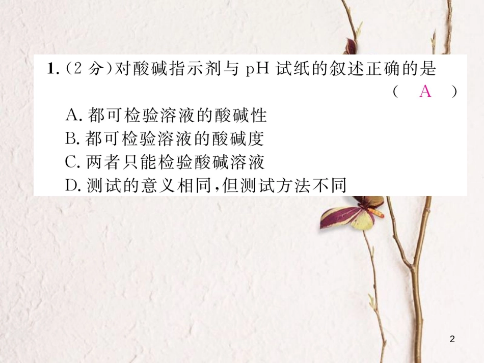 九年级化学下册 双休作业（六）作业课件 （新版）新人教版_第2页