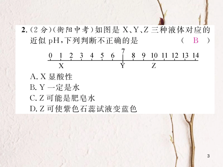 九年级化学下册 双休作业（六）作业课件 （新版）新人教版_第3页