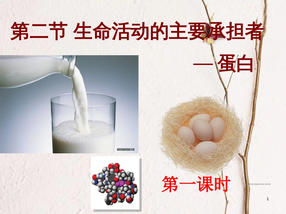 辽宁省北票市高中生物 第二章 组成细胞的分子 2.2 生命活动的主要承担者—蛋白质（1）课件 新人教版必修1_第1页