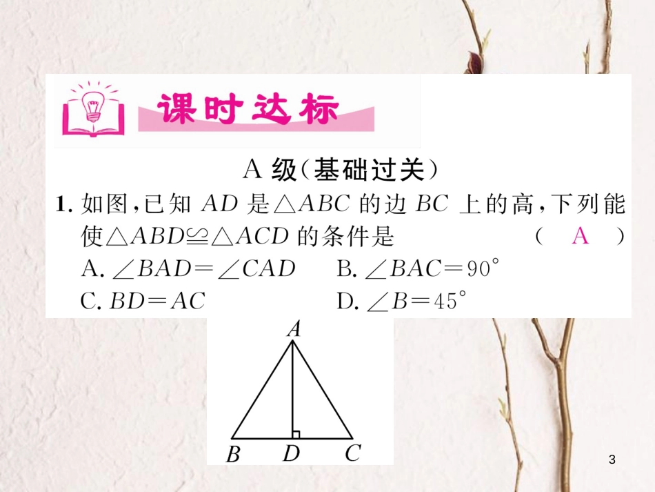 七年级数学下册 第4章 三角形 3 探索三角形全等的条件（2）作业课件 （新版）北师大版_第3页