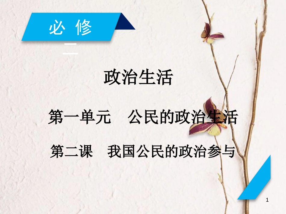 2019届高考政治一轮复习 第一单元 公民的政治生活 第2课 我国公民的政治参与课件 新人教版必修2_第1页