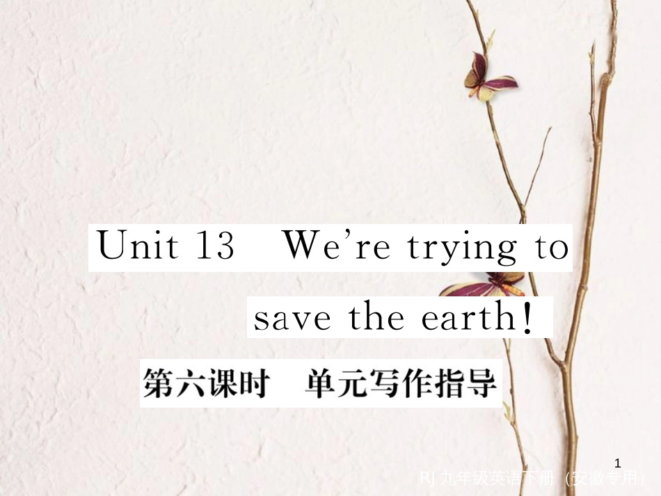 （安徽专版）九年级英语全册 Unit 13 We’re trying to save the earth（第6课时）写作指导习题课件 （新版）人教新目标版_第1页