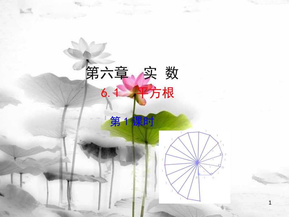 七年级数学下册 第六章 实数 6.1 平方根（第1课时）课件 （新版）新人教版_第1页