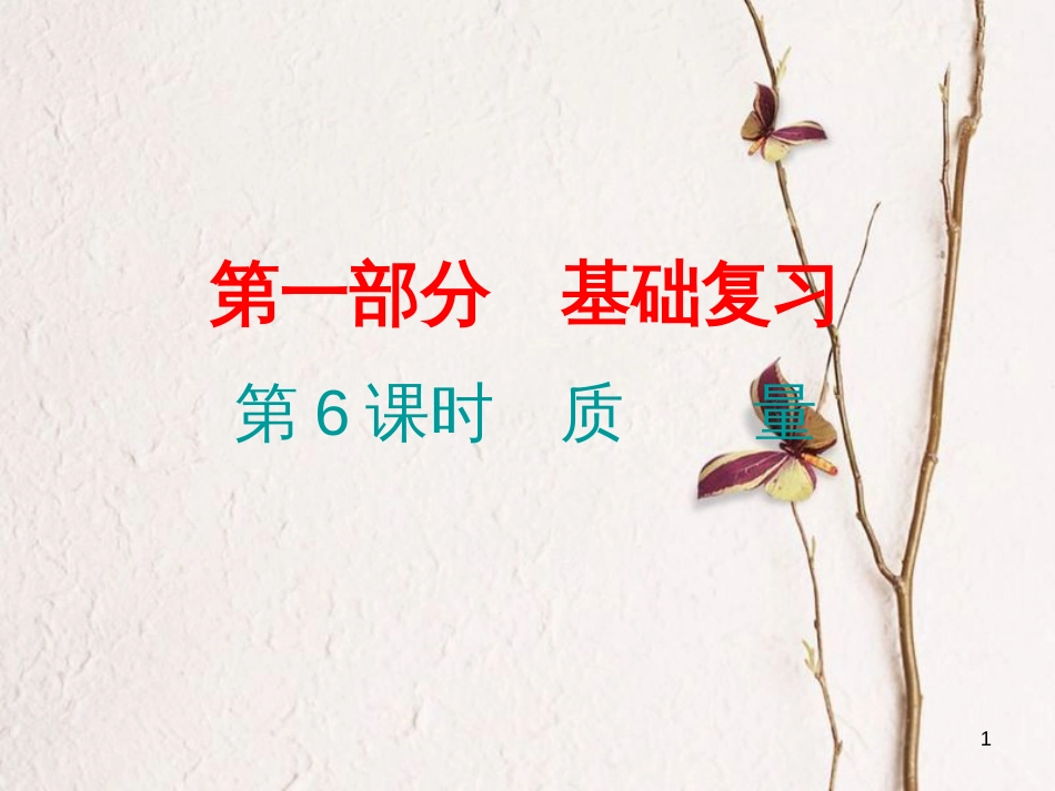 广东省中考物理总复习 第一部分 基础复习 第6课时 质量课后作业课件_第1页