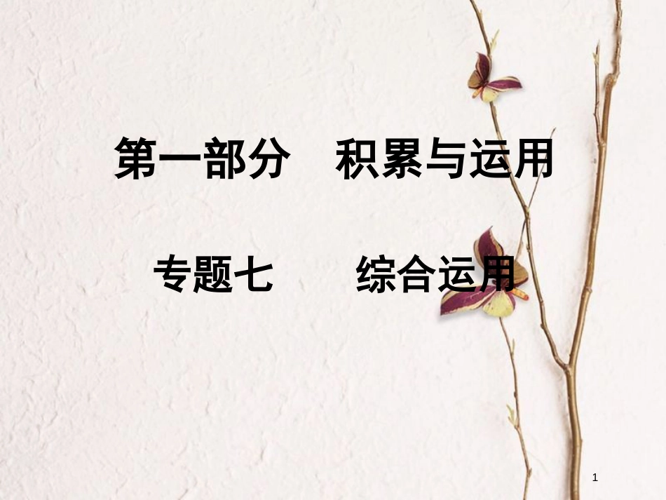 湖南省2018中考语文总复习 第一部分 积累与运用 专题七 综合运用课件_第1页