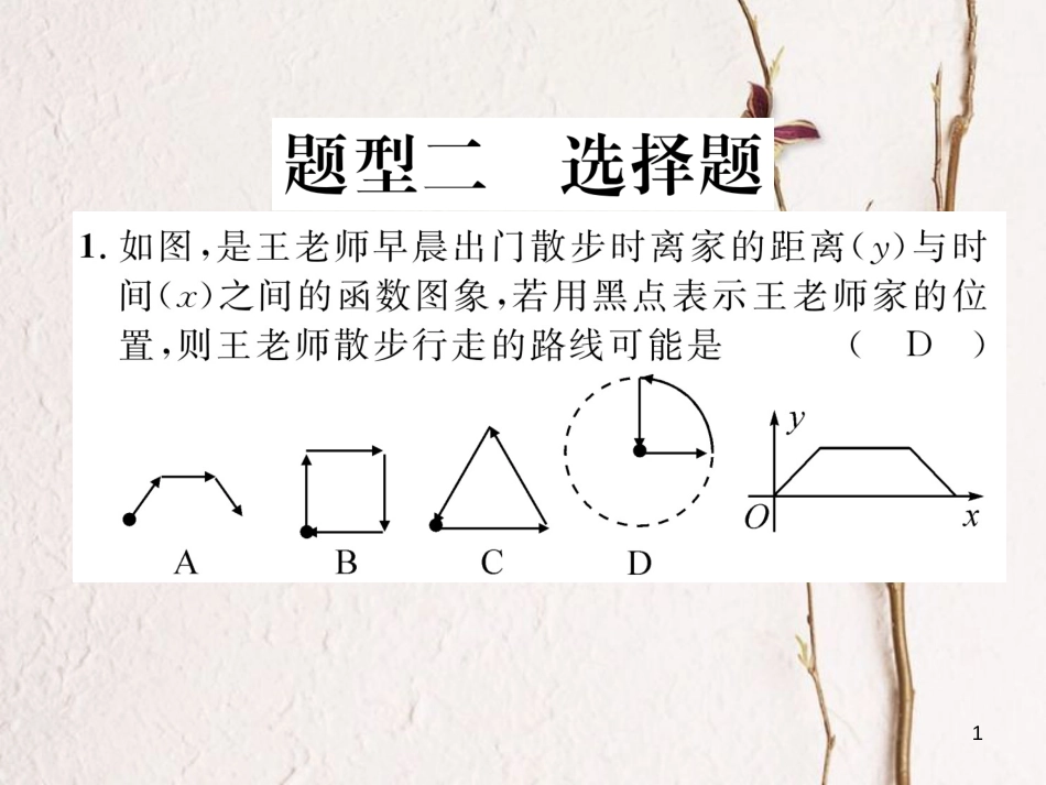 （青海专版）中考数学复习 第2编 专题突破篇 题型2 选择题（精练）课件_第1页