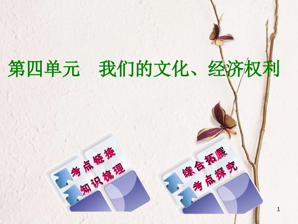 广西北部湾四市中考政治 第四单元 我们的文化、经济权利复习课件_第1页