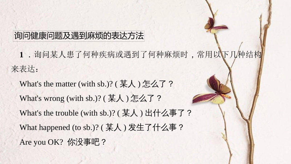 八年级英语下册 Unit 1 What's the matter语法专题—Grammar Focus习题课件 （新版）人教新目标版_第2页