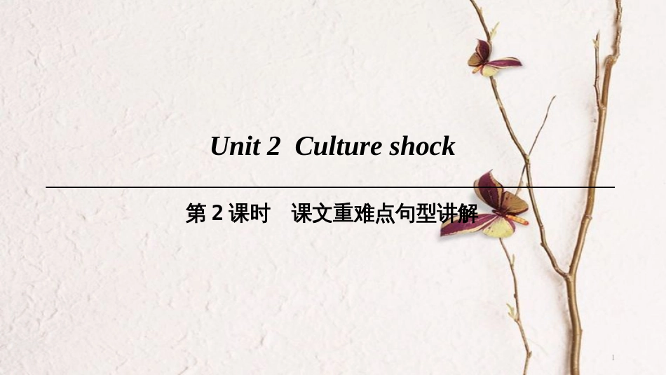 九年级英语下册 Module 1 Explorations and exchanges Unit 2 Culture shock（第2课时）课文重难点句型讲解课件 牛津深圳版_第1页