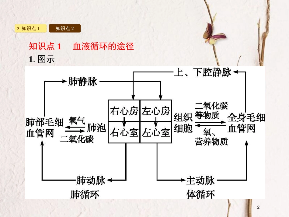 2018七年级生物下册 9.2 血液循环课件2 （新版）北师大版(1)_第2页