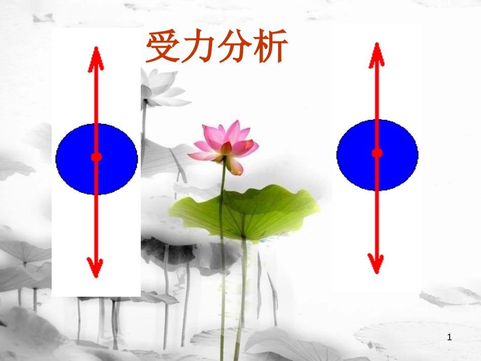 届中考物理 关于受力分析课件_第1页