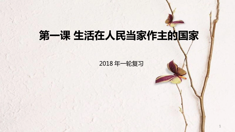 高考政治一轮复习 第一单元 公民的政治生活 第一课 生活在人民当家作主的国家课件 新人教版必修2_第1页