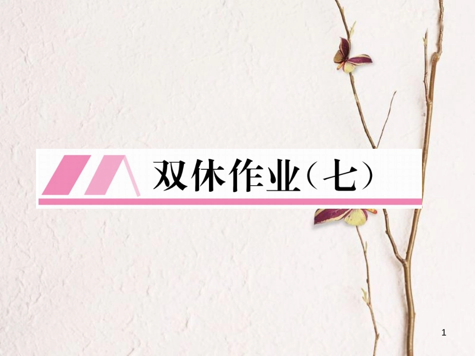 九年级数学下册 双休作业（七）作业课件 （新版）湘教版_第1页