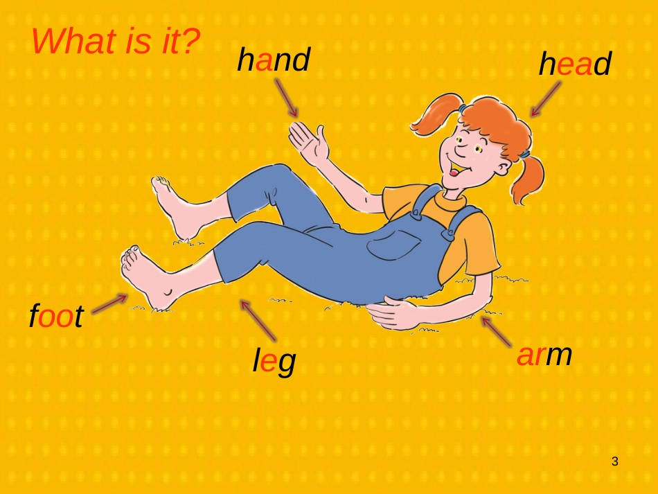 三年级英语上册 Unit 3 Body and Feelings lesson 15 left and right课件 冀教版（三起）_第3页