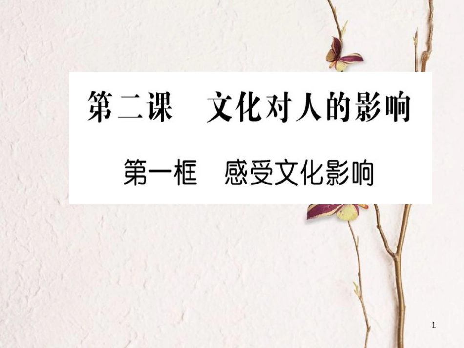 高中政治 第一单元 文化与生活 第二课 文化对人的影响 第一框 感受文化影响课件 新人教版必修3_第1页