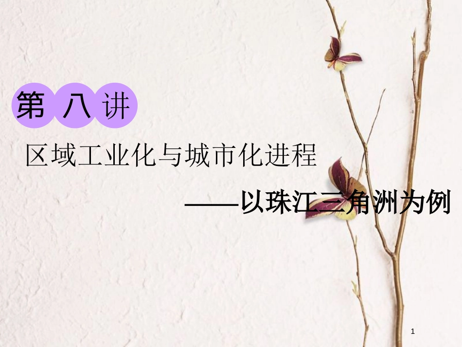 2019版高考地理大一轮复习 第三部分 第二章 区域可持续发展 第八讲 区域工业化与城市化进程——以珠江三角洲为例课件 湘教版_第1页