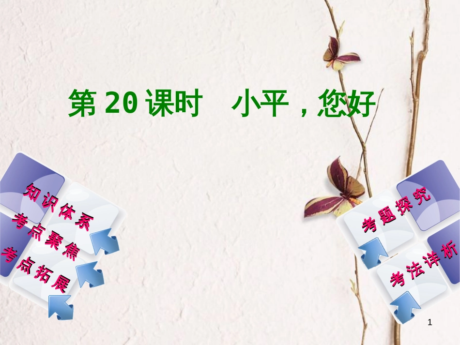 中考政治 第三部分 九年级 第20课时 小平，您好复习课件 教科版_第1页