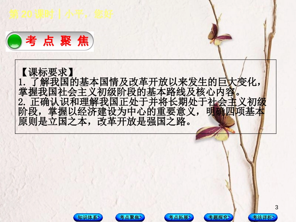 中考政治 第三部分 九年级 第20课时 小平，您好复习课件 教科版_第3页