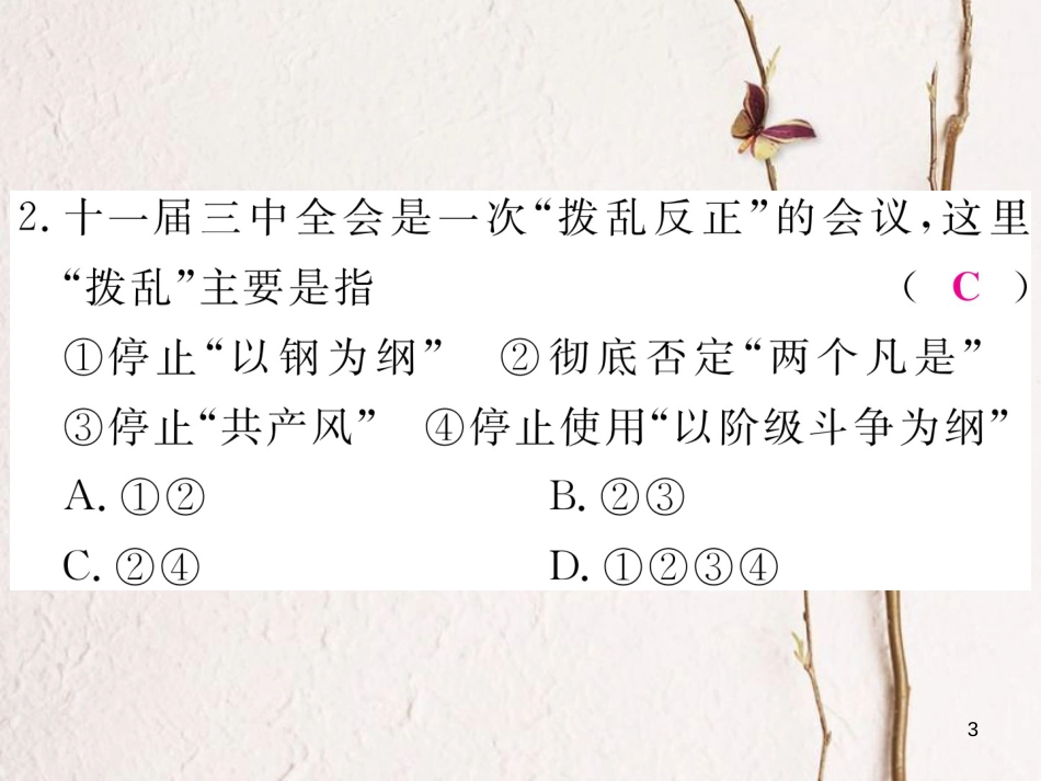 八年级历史下册 专题二 建设中国特色社会主义道路的开拓与理论创新习题课件 岳麓版_第3页