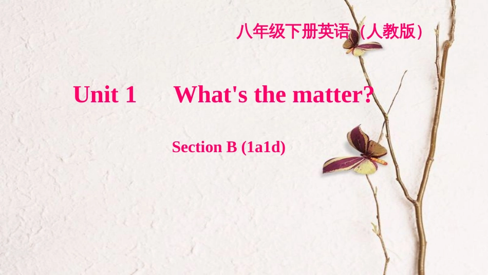 八年级英语下册 Unit 1 What's the matter Section B(1a-1d)习题课件 （新版）人教新目标版_第1页