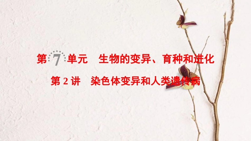 （全国版）2019版高考生物一轮复习 第7单元 生物的变异、育种和进化 第2讲 染色体变异和人类遗传病课件_第1页