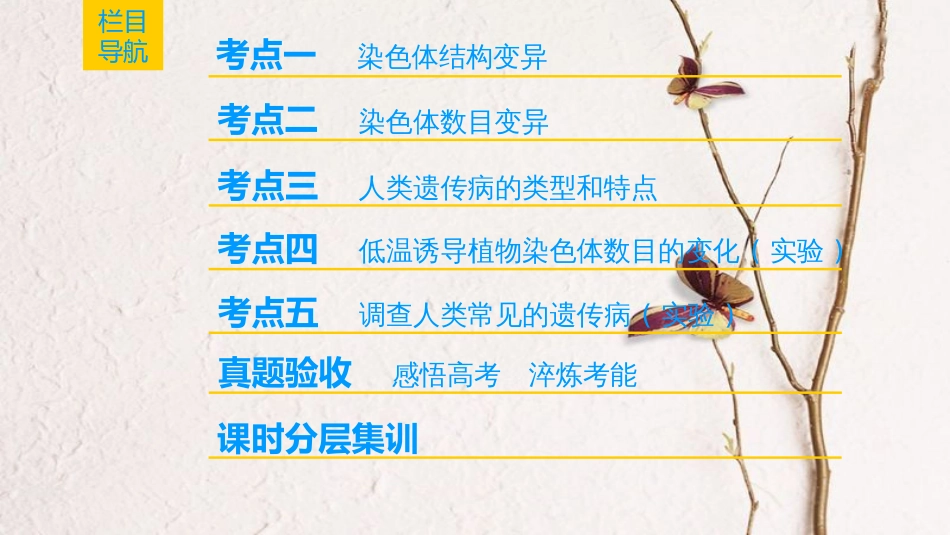 （全国版）2019版高考生物一轮复习 第7单元 生物的变异、育种和进化 第2讲 染色体变异和人类遗传病课件_第2页