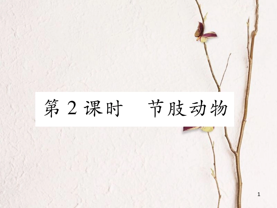 八年级生物上册 第五单元 第1章 第三节 软体动物和节肢动物（第2课时 节肢动物）课件 （新版）新人教版_第1页