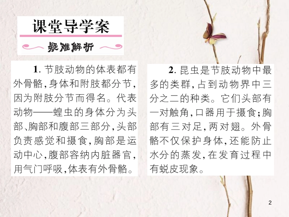 八年级生物上册 第五单元 第1章 第三节 软体动物和节肢动物（第2课时 节肢动物）课件 （新版）新人教版_第2页
