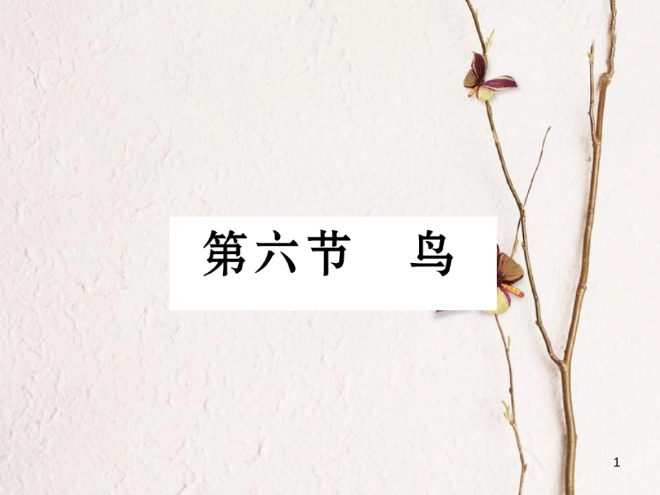 八年级生物上册 第五单元 第1章 第六节 鸟课件 （新版）新人教版_第1页