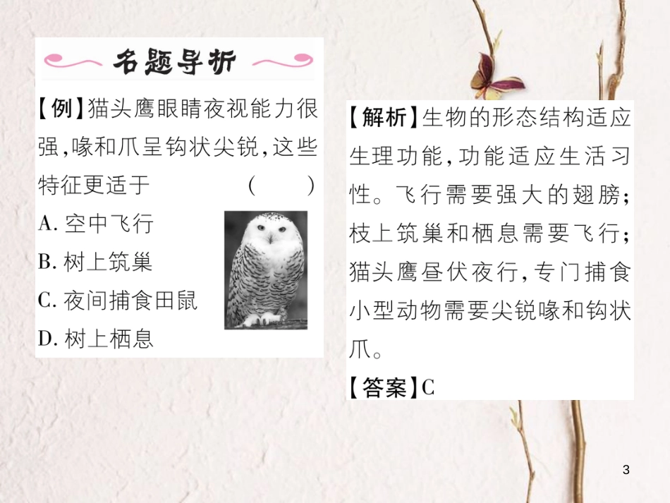 八年级生物上册 第五单元 第1章 第六节 鸟课件 （新版）新人教版_第3页