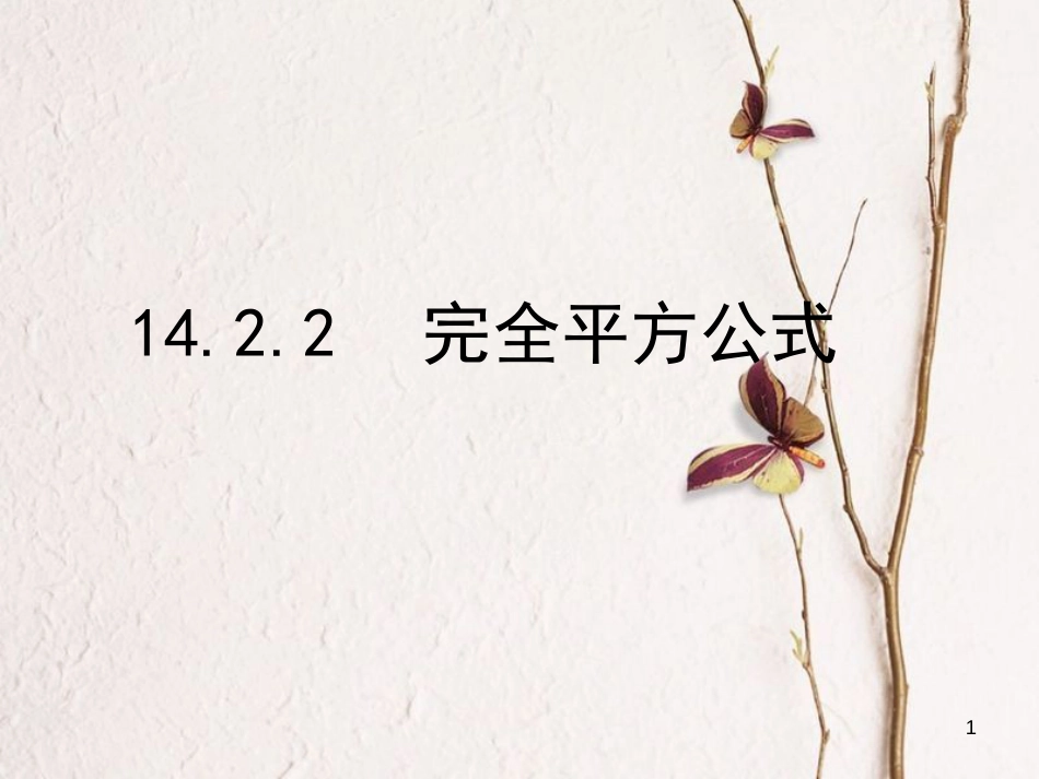 陕西省安康市石泉县池河镇八年级数学上册 14.2 乘法公式 14.2.2 完全平方公式课件 （新版）新人教版_第1页