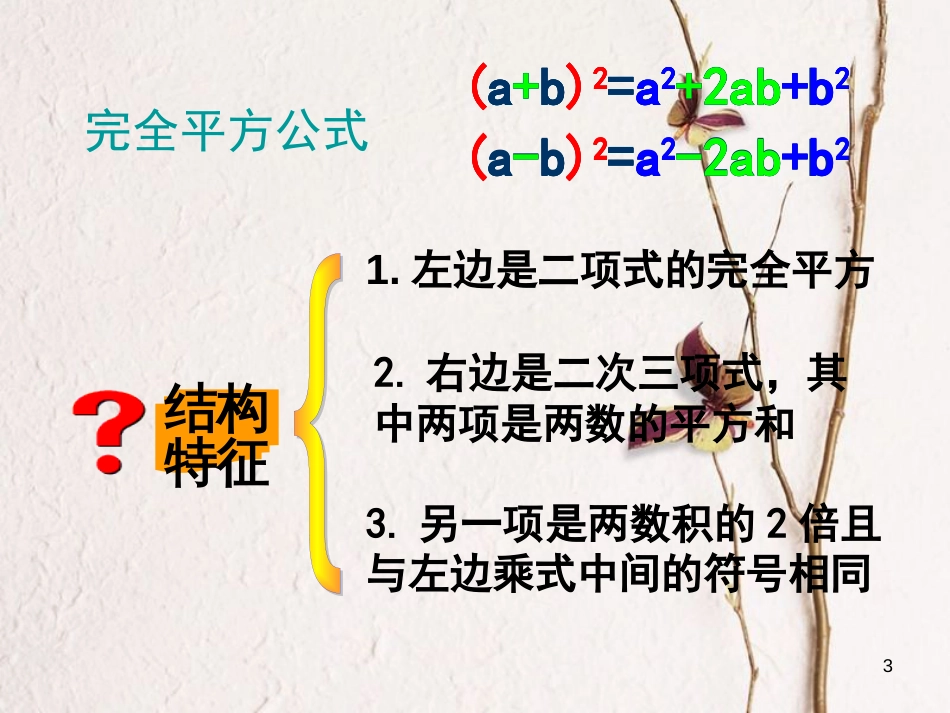 陕西省安康市石泉县池河镇八年级数学上册 14.2 乘法公式 14.2.2 完全平方公式课件 （新版）新人教版_第3页