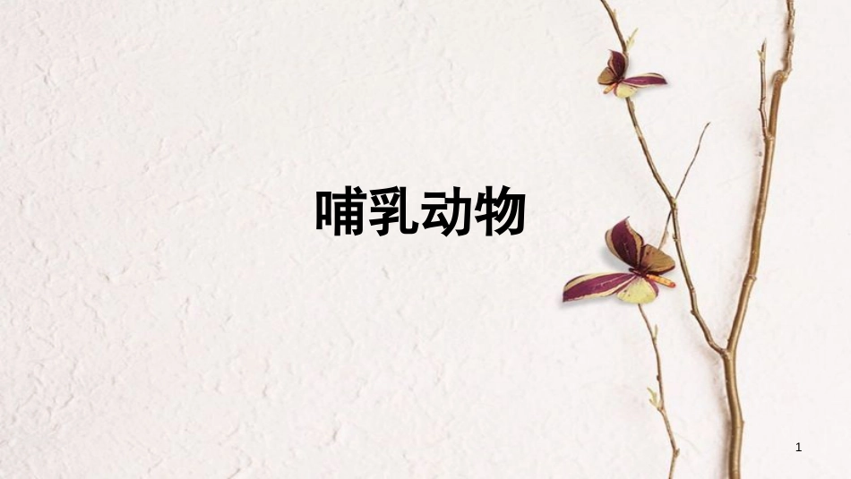八年级生物上册 第五单元 第一章 第七节《哺乳动物》课件 （新版）新人教版_第1页